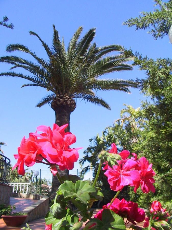 Villa Gaia Hotel Cefalù Eksteriør billede